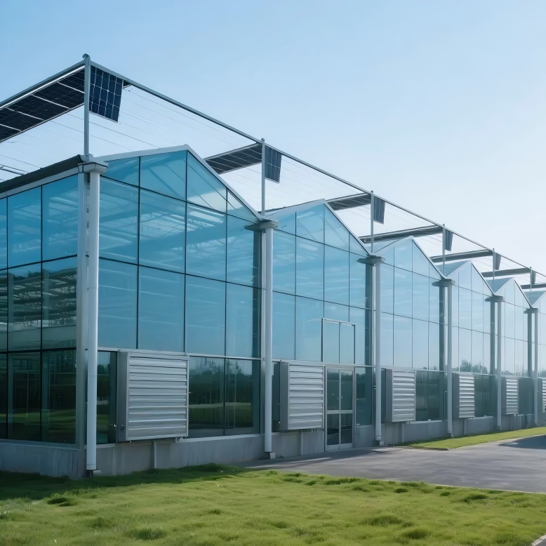 Durable Best Glass Greenhouse for Agriculture